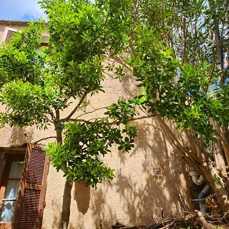 Maison Confortable A Avec Terrasse Et Jardin Сasa de vacaciones *