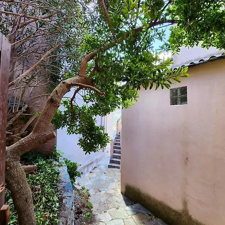 Maison Confortable A Avec Terrasse Et Jardin Rogliano