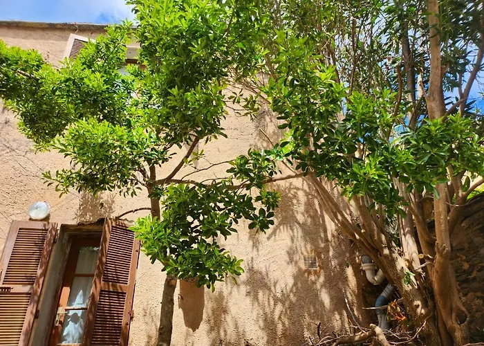 Maison Confortable A Avec Terrasse Et Jardin Ferienhaus *