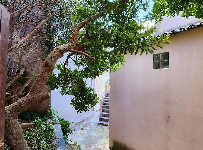 Maison Confortable A Avec Terrasse Et Jardin Rogliano