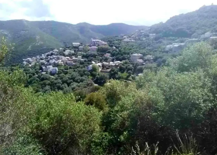 Ferienhaus Maison Confortable A Avec Terrasse Et Jardin Rogliano